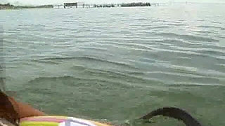 Sexxy Brandon: Lost at Sea