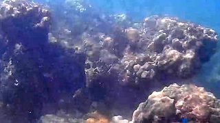 Gabbie Carter In Hawaii