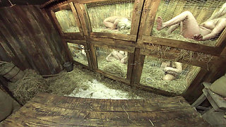 X Virtual 56 Rabbit Hutch in 180°